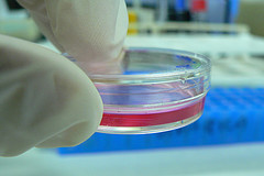 Biotechnology Careers