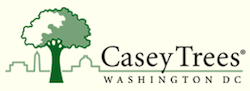 Casey Trees Logo