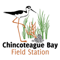 Chincoteague Bay Field Station Logo