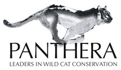 Panthera Logo