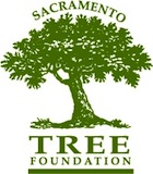 Sacramento Tree Foundation Logo