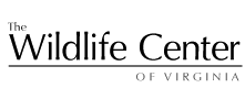 The Wildlife Center of Virginia
