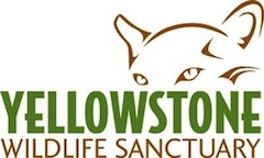 Yellowstone Wildlife Sanctuary Logo